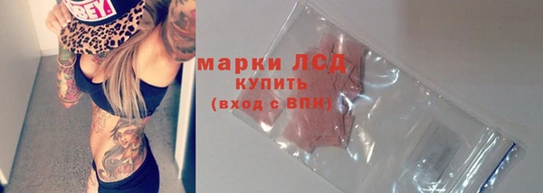 сатива Беломорск