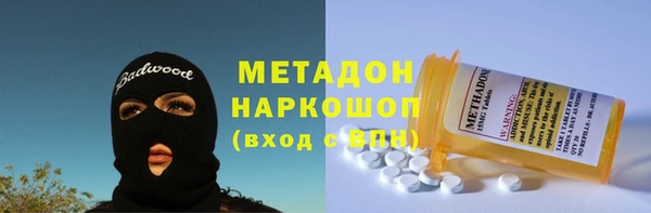сатива Беломорск