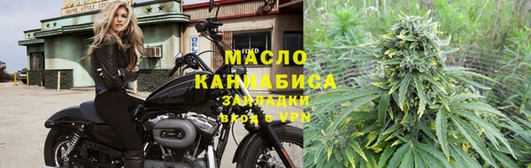 сатива Беломорск