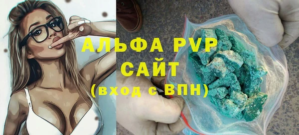 сатива Беломорск