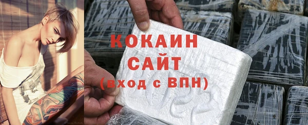 сатива Беломорск