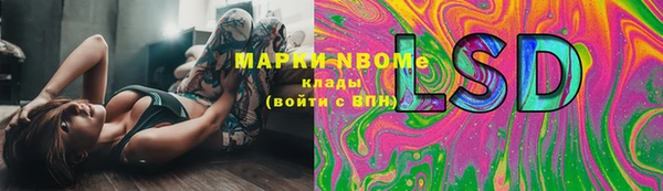 сатива Беломорск